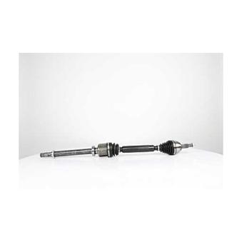 Arbre de transmission BSG BSG 75-350-015