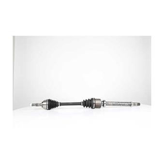 Arbre de transmission BSG OEM 391002033R Arbre de transmission BSG OEM 391002033R