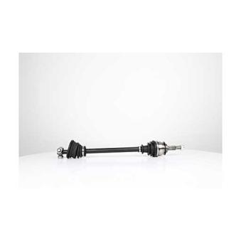 Arbre de transmission BSG OEM 8200499304 Arbre de transmission BSG OEM 8200499304