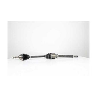 Arbre de transmission BSG OEM 7711135416