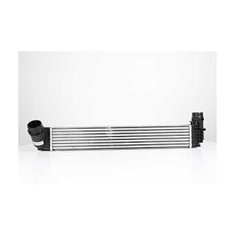 Intercooler, échangeur BSG OEM 144960734R