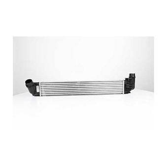 Intercooler, échangeur BSG OEM 8200880552