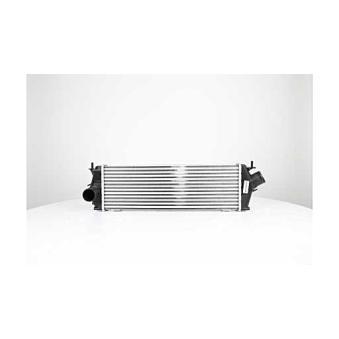 Intercooler, échangeur BSG OEM 8200411160