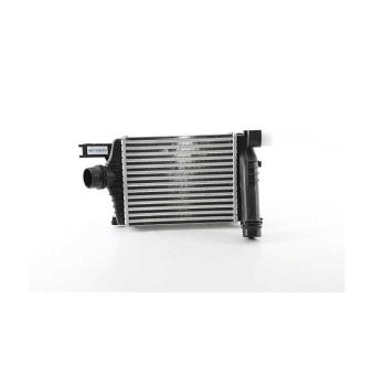 Intercooler, échangeur BSG OEM 144961381R Intercooler, échangeur BSG OEM 144961381R
