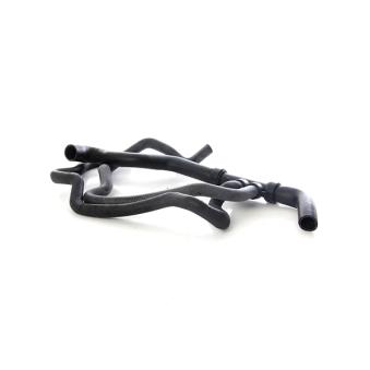 Durite de radiateur BSG BSG 75-720-098
