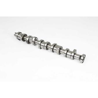 Arbre à came BSG OEM 070109101Q