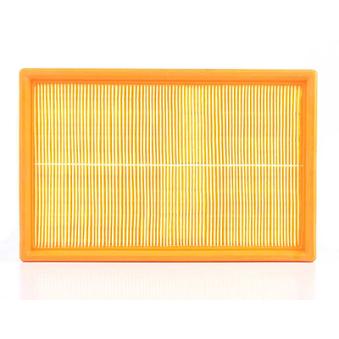 Filtre à air BSG OEM 036129620D