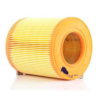 Filtre à air BSG OEM 4F0133843A