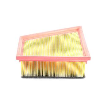 Filtre à air BSG OEM 5Z0129620A