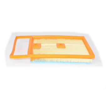 Filtre à air BSG OEM 6C0129620D