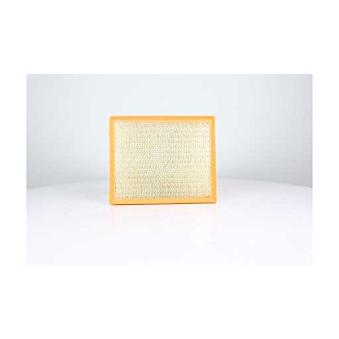 Filtre à air BSG OEM 2H0129620B Filtre à air BSG OEM 2H0129620B