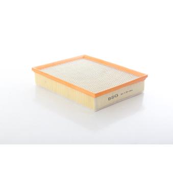 Filtre à air BSG OEM 2H0129620A