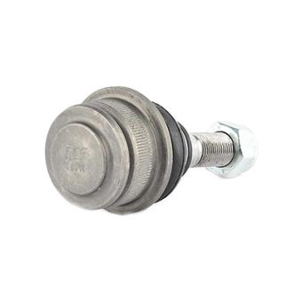 Rotule de suspension BSG OEM 701407187B