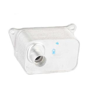 Radiateur d'huile BSG OEM 06J117021D