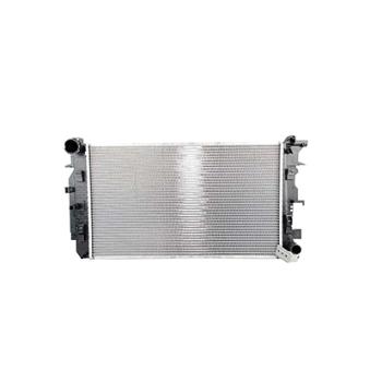 Radiateur, refroidissement du moteur BSG OEM 2E0121253A