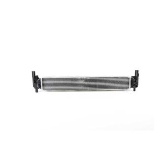 Radiateur, refroidissement du moteur BSG OEM 6R0145805H Radiateur, refroidissement du moteur BSG OEM 6R0145805H