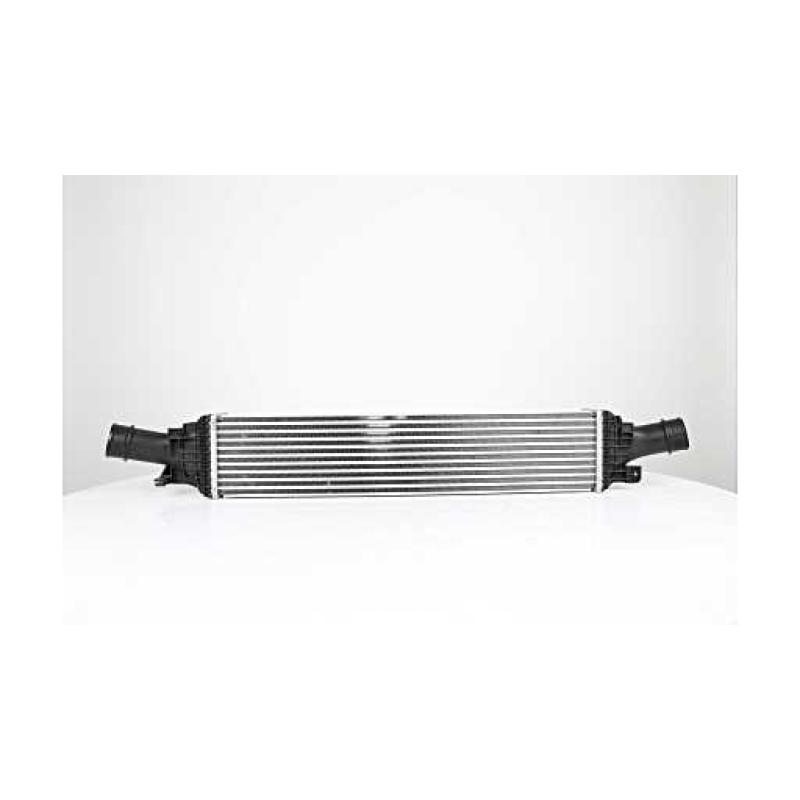 Intercooler, échangeur BSG BSG 90-535-014 - Visuel 1