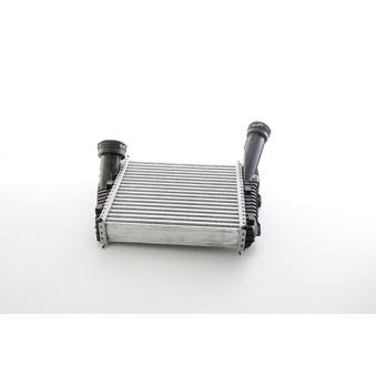 Intercooler, échangeur BSG OEM 7L6145804