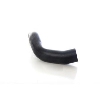 Gaine de suralimentation BSG OEM 2E0145828