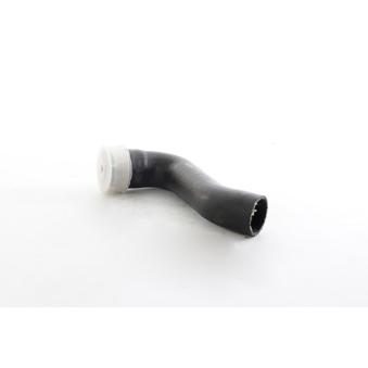 Gaine de suralimentation BSG OEM 1K0145832F