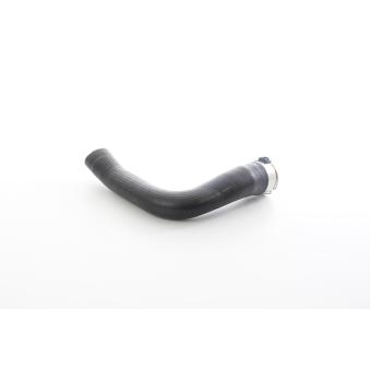 Gaine de suralimentation BSG OEM 2E0145856E