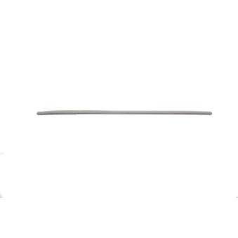 Baguette et bande protectrice, porte avant droit BSG BSG 90-924-042
