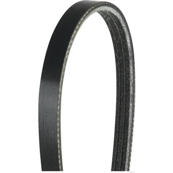 Courroie trapézoïdale à nervures HERTH+BUSS JAKOPARTS J1030576