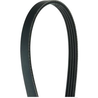 Courroie trapézoïdale à nervures HERTH+BUSS JAKOPARTS OEM 1172016E03