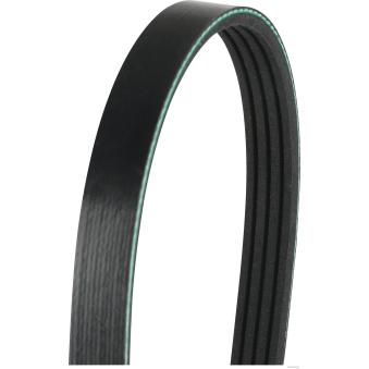 Courroie trapézoïdale à nervures HERTH+BUSS JAKOPARTS J1040781