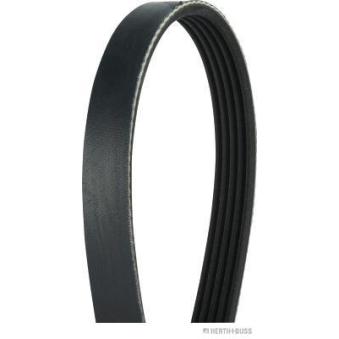 Courroie trapézoïdale à nervures HERTH+BUSS JAKOPARTS OEM 1340A102