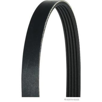 Courroie trapézoïdale à nervures HERTH+BUSS JAKOPARTS J1051388