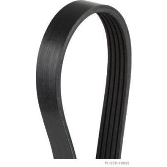 Courroie trapézoïdale à nervures HERTH+BUSS JAKOPARTS OEM 4451A129