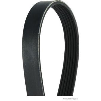 Courroie trapézoïdale à nervures HERTH+BUSS JAKOPARTS OEM 9622521280