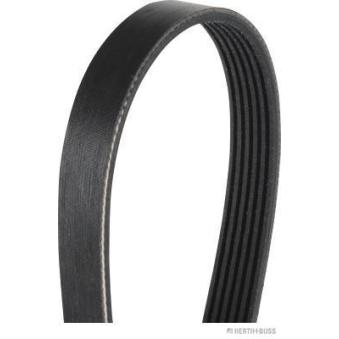 Courroie trapézoïdale à nervures HERTH+BUSS JAKOPARTS OEM 55567560