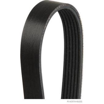 Courroie trapézoïdale à nervures HERTH+BUSS JAKOPARTS J1061390