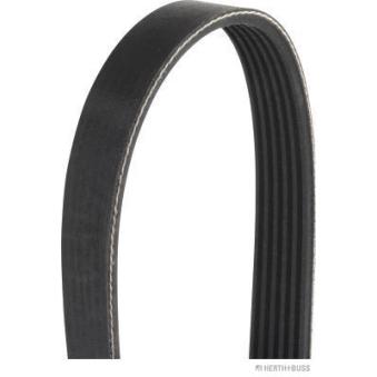 Courroie trapézoïdale à nervures HERTH+BUSS JAKOPARTS J1061485 pour MITSUBISHI LANCER 1.8 DI-D - 116cv