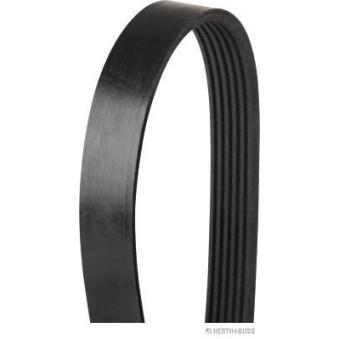 Courroie trapézoïdale à nervures HERTH+BUSS JAKOPARTS OEM 032145933AA