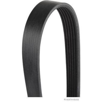 Courroie trapézoïdale à nervures HERTH+BUSS JAKOPARTS J1061670 pour PEUGEOT BIPPER 1.3 HDI 75 - 75cv