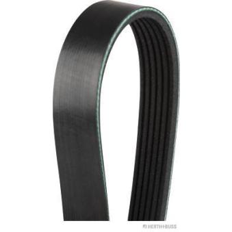 Courroie trapézoïdale à nervures HERTH+BUSS JAKOPARTS J1061715