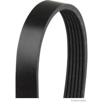 Courroie trapézoïdale à nervures HERTH+BUSS JAKOPARTS OEM 06E903137J Courroie trapézoïdale à nervures HERTH+BUSS JAKOPARTS OEM 06E903137J