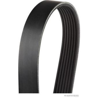 Courroie trapézoïdale à nervures HERTH+BUSS JAKOPARTS OEM 11287560485