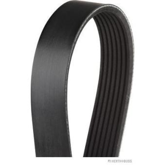 Courroie trapézoïdale à nervures HERTH+BUSS JAKOPARTS OEM 6000616600
