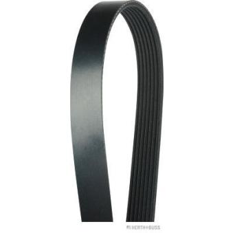 Courroie trapézoïdale à nervures HERTH+BUSS JAKOPARTS OEM 93180563