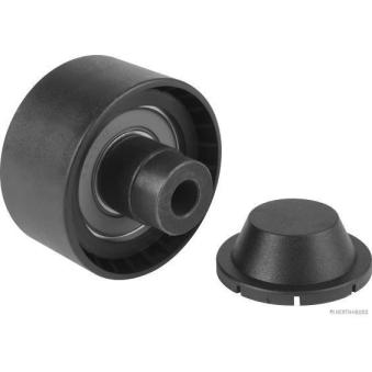 Poulie renvoi/transmission, courroie trapézoïdale à nervures HERTH+BUSS JAKOPARTS J1143081 pour LANCIA LYBRA 1.6 D - 110cv