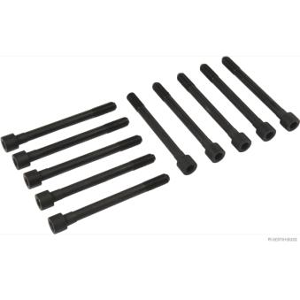 Jeu de boulons de culasse de cylindre HERTH+BUSS JAKOPARTS J1280500 pour HYUNDAI ACCENT 1.3 - 75cv