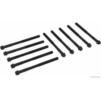 Jeu de boulons de culasse de cylindre HERTH+BUSS JAKOPARTS J1282023