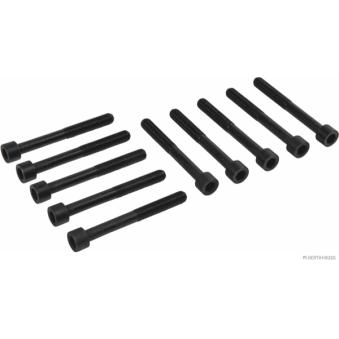 Jeu de boulons de culasse de cylindre HERTH+BUSS JAKOPARTS J1283007 pour BMW Série 5 1.6 - 98cv