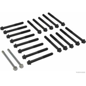 Jeu de boulons de culasse de cylindre HERTH+BUSS JAKOPARTS J1285018