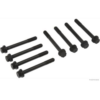 Jeu de boulons de culasse de cylindre HERTH+BUSS JAKOPARTS J1286003