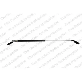 Vérin de hayon, de coffre arrière droit LESJOFORS 8192542